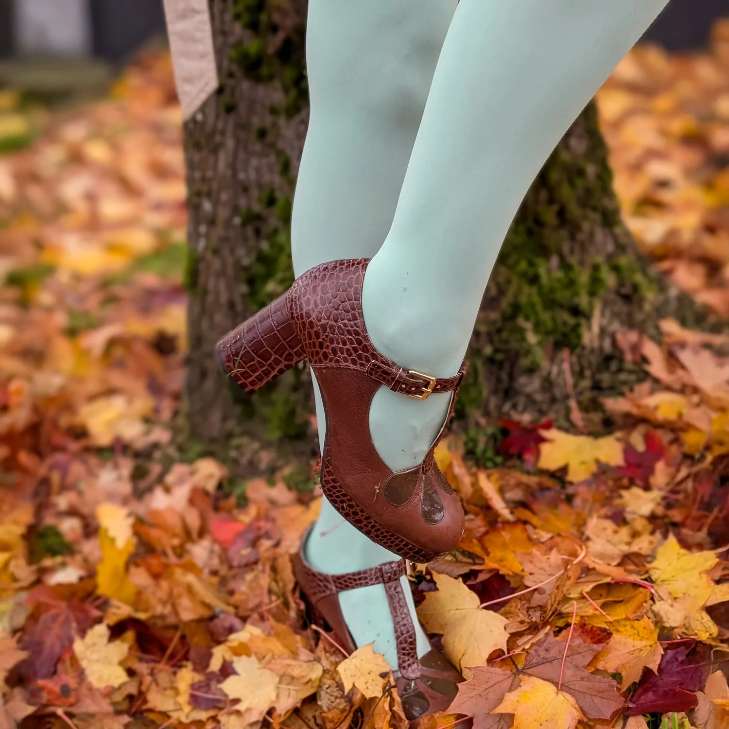 120 Denier Super-Opaque Tights - Chalcedony - Image 7