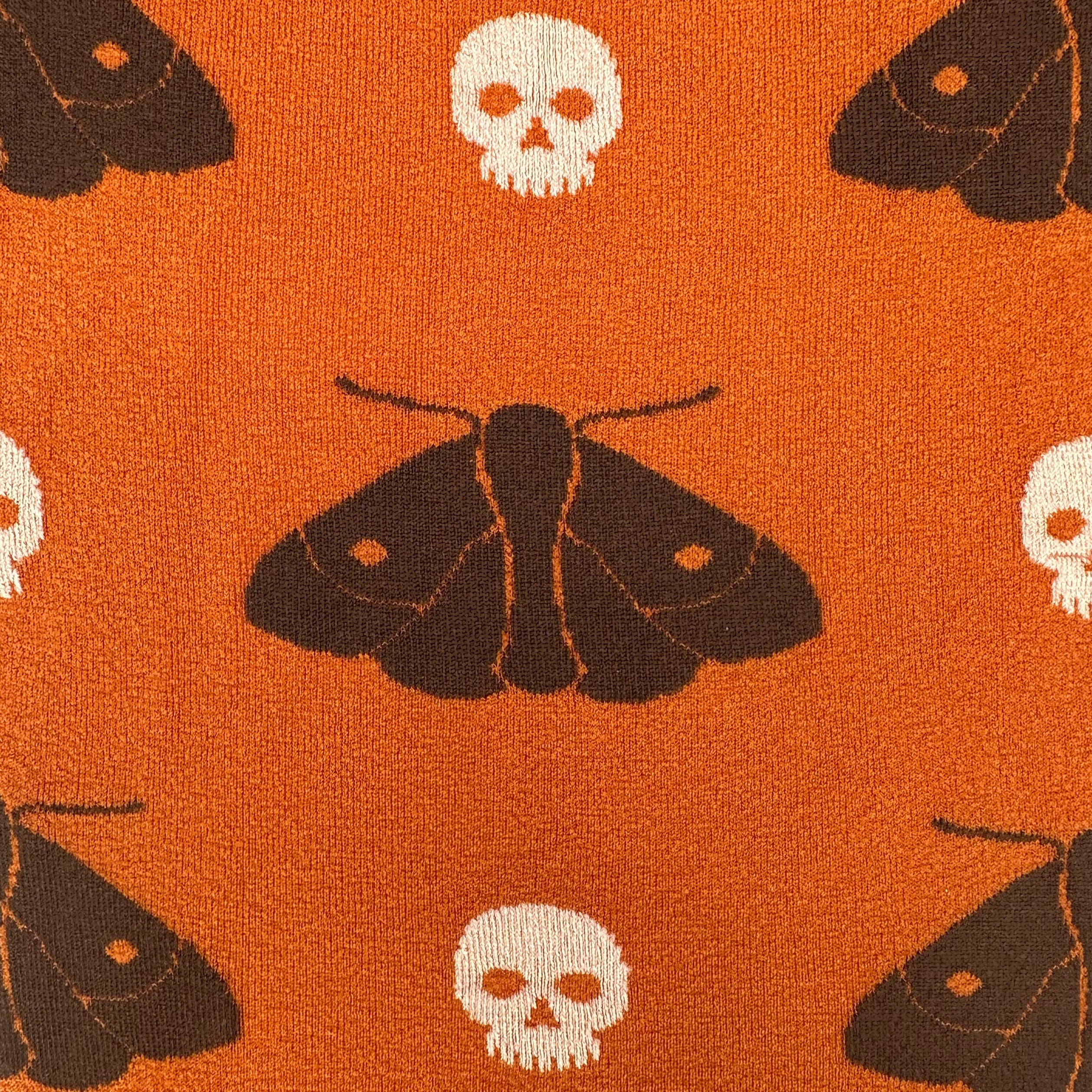 Death's Head Moth - Image 17