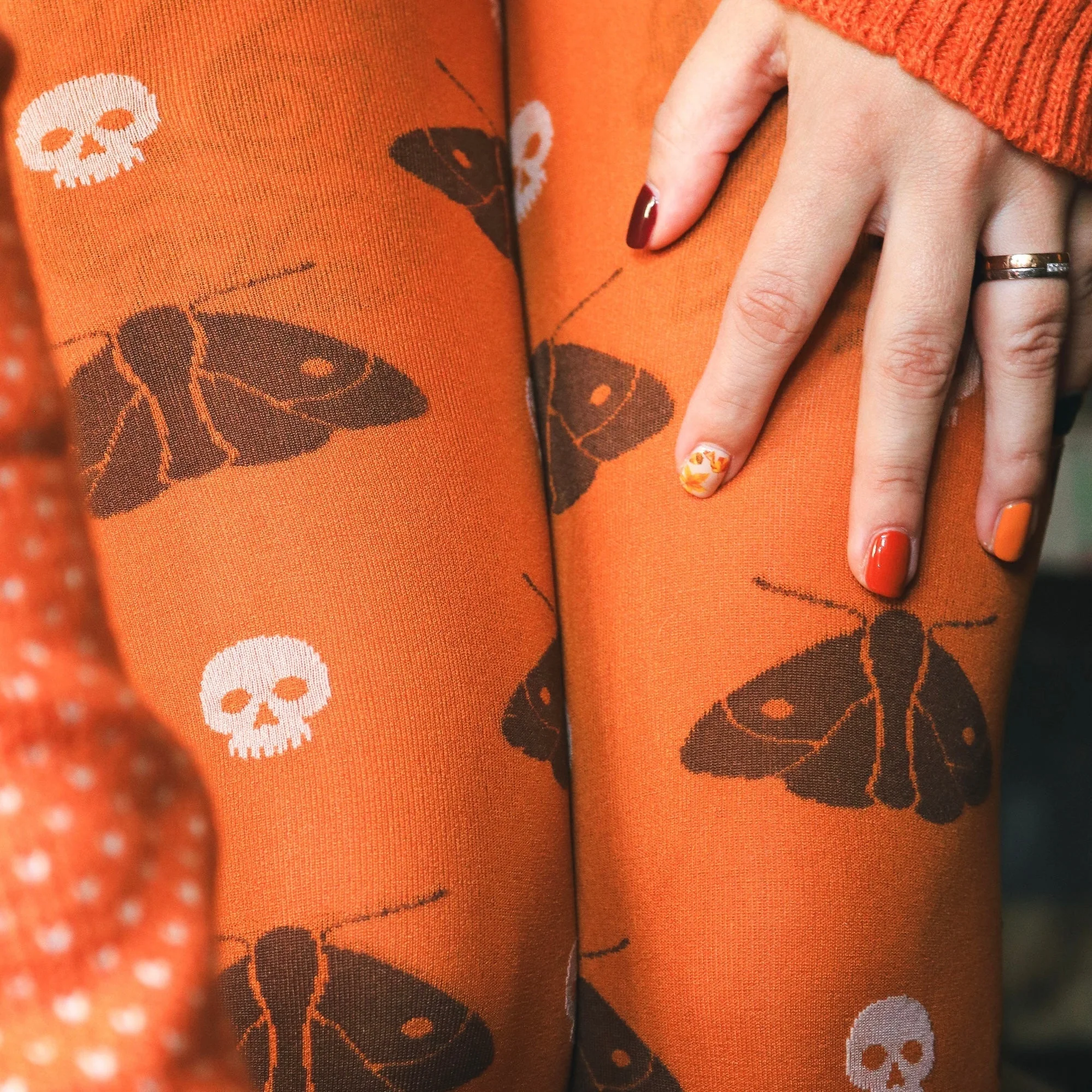Death's Head Moth - Image 5