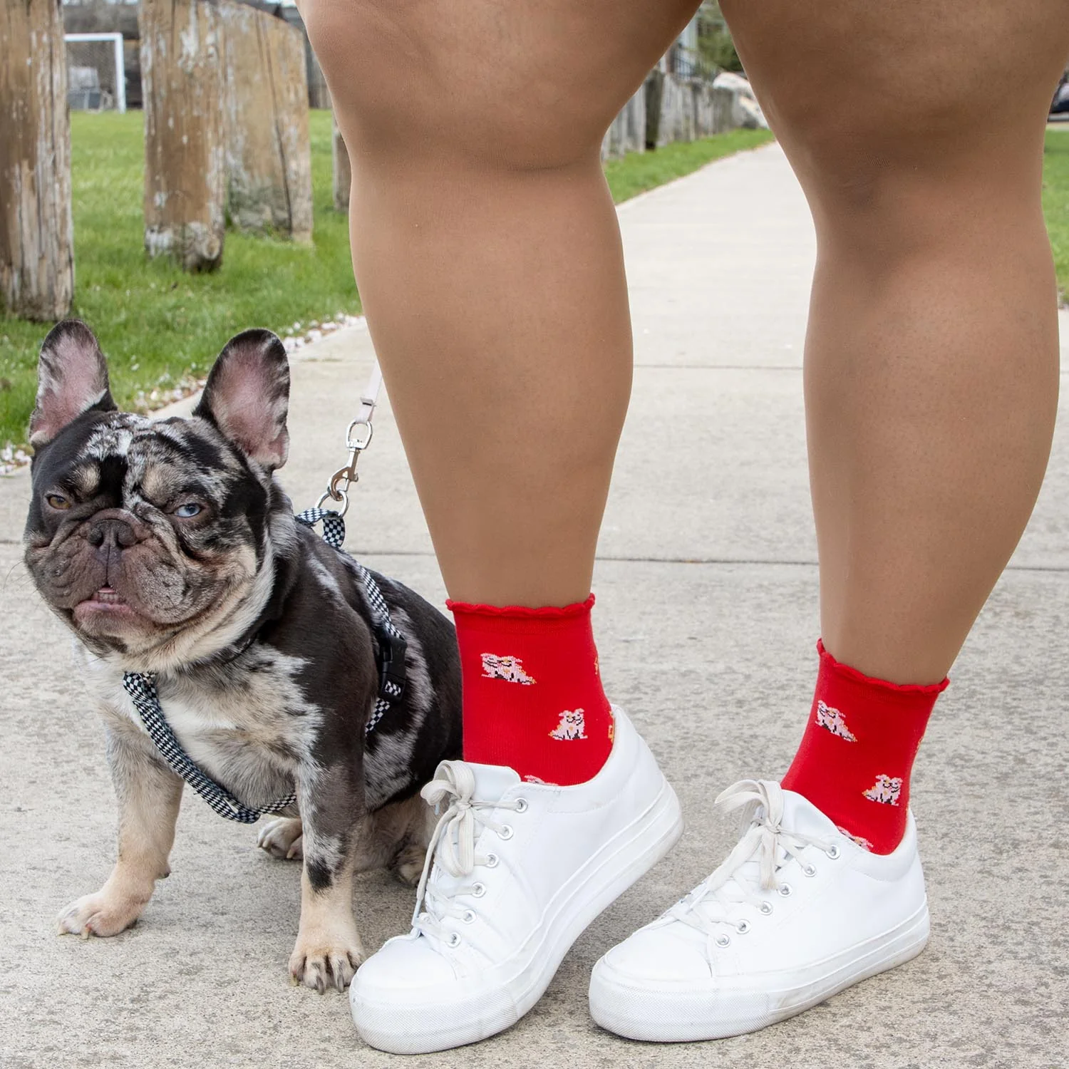 Ultimate Bamboo Ankle Socks - Woof - Image 10