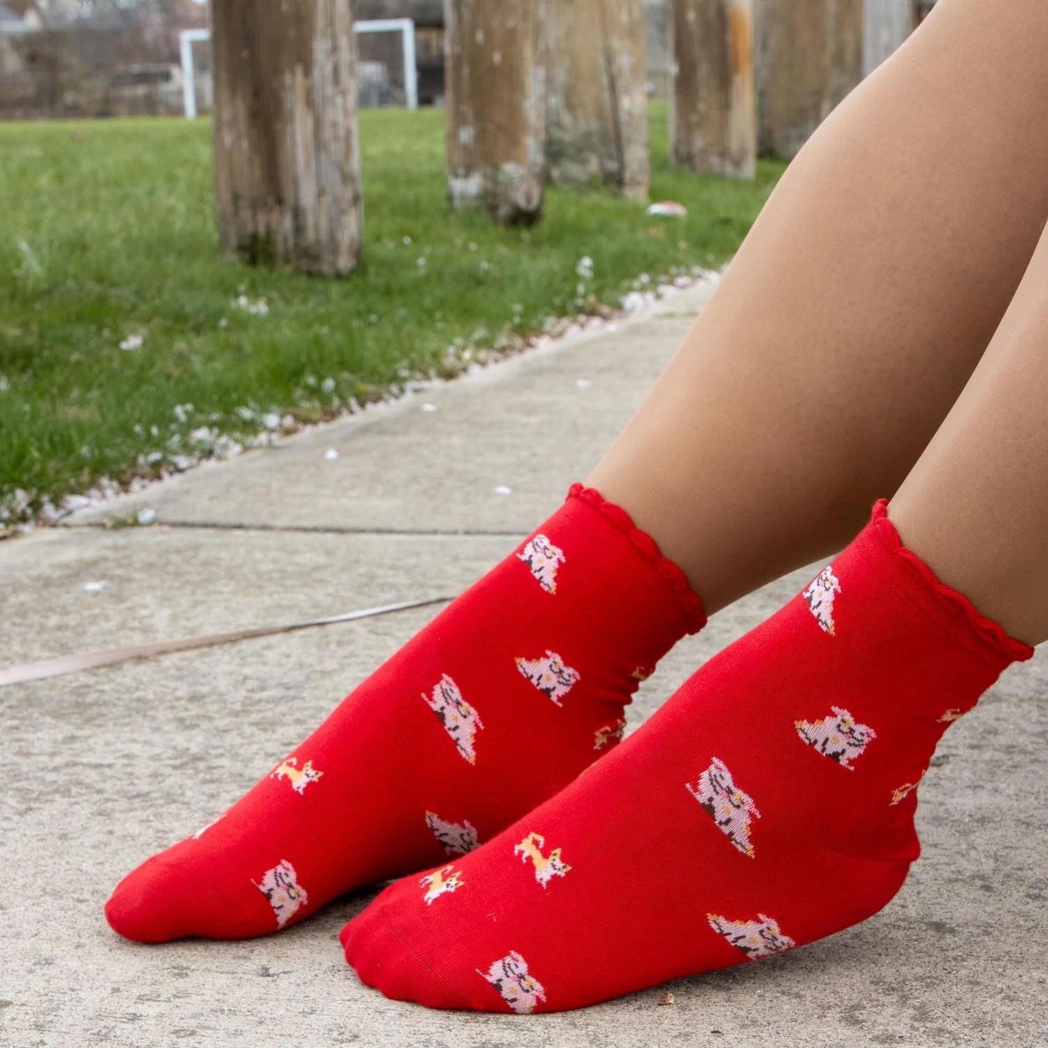 Ultimate Bamboo Ankle Socks - Woof - Image 4