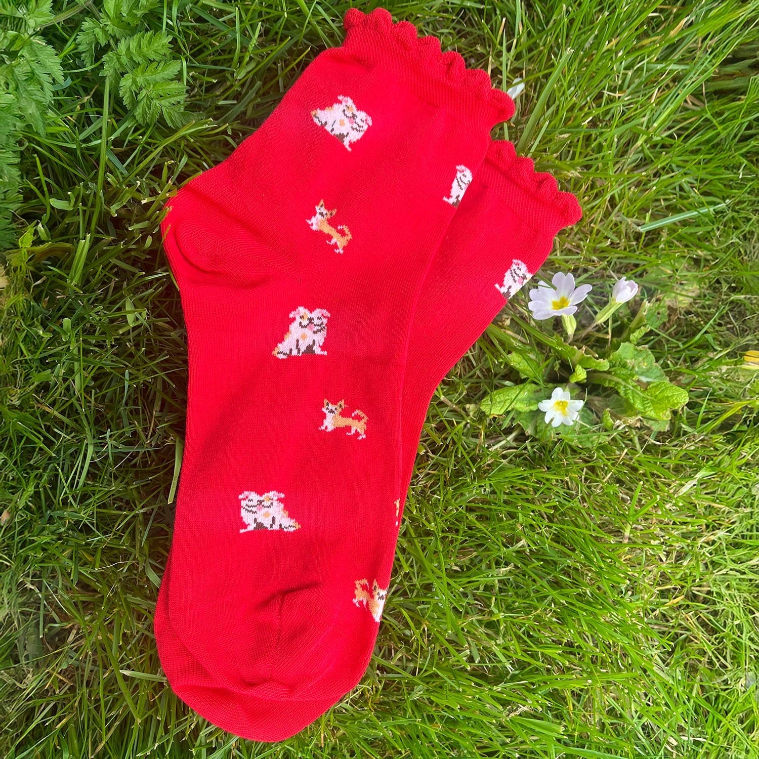 Ultimate Bamboo Ankle Socks - Woof - Image 9