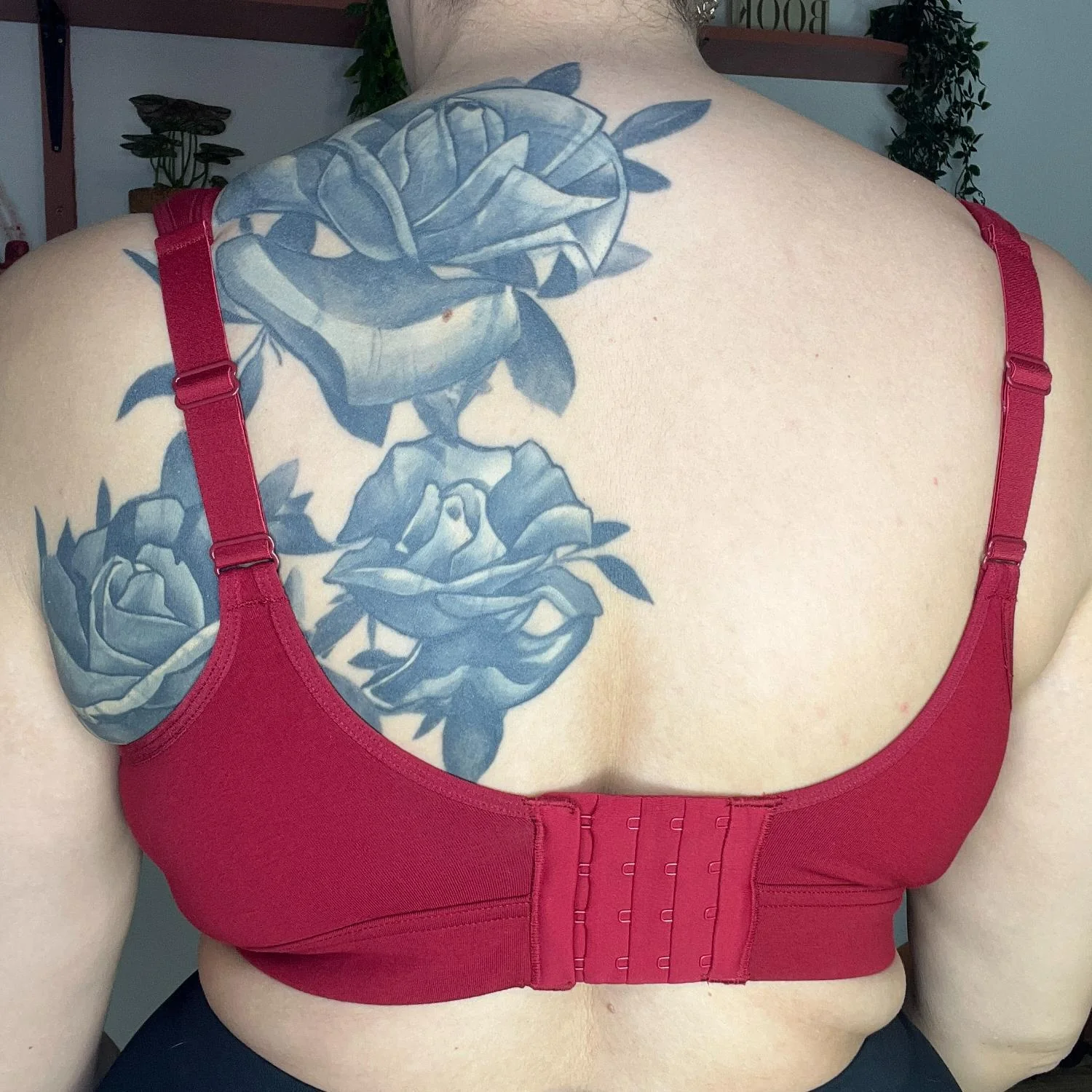 Organic Cotton Bra - Pirouette - Image 8