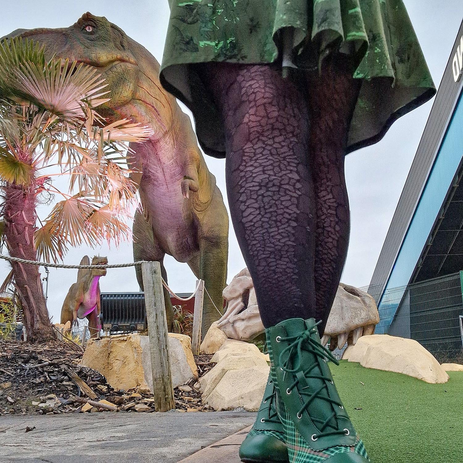 Dinosaur Tights - Raptor - Image 4